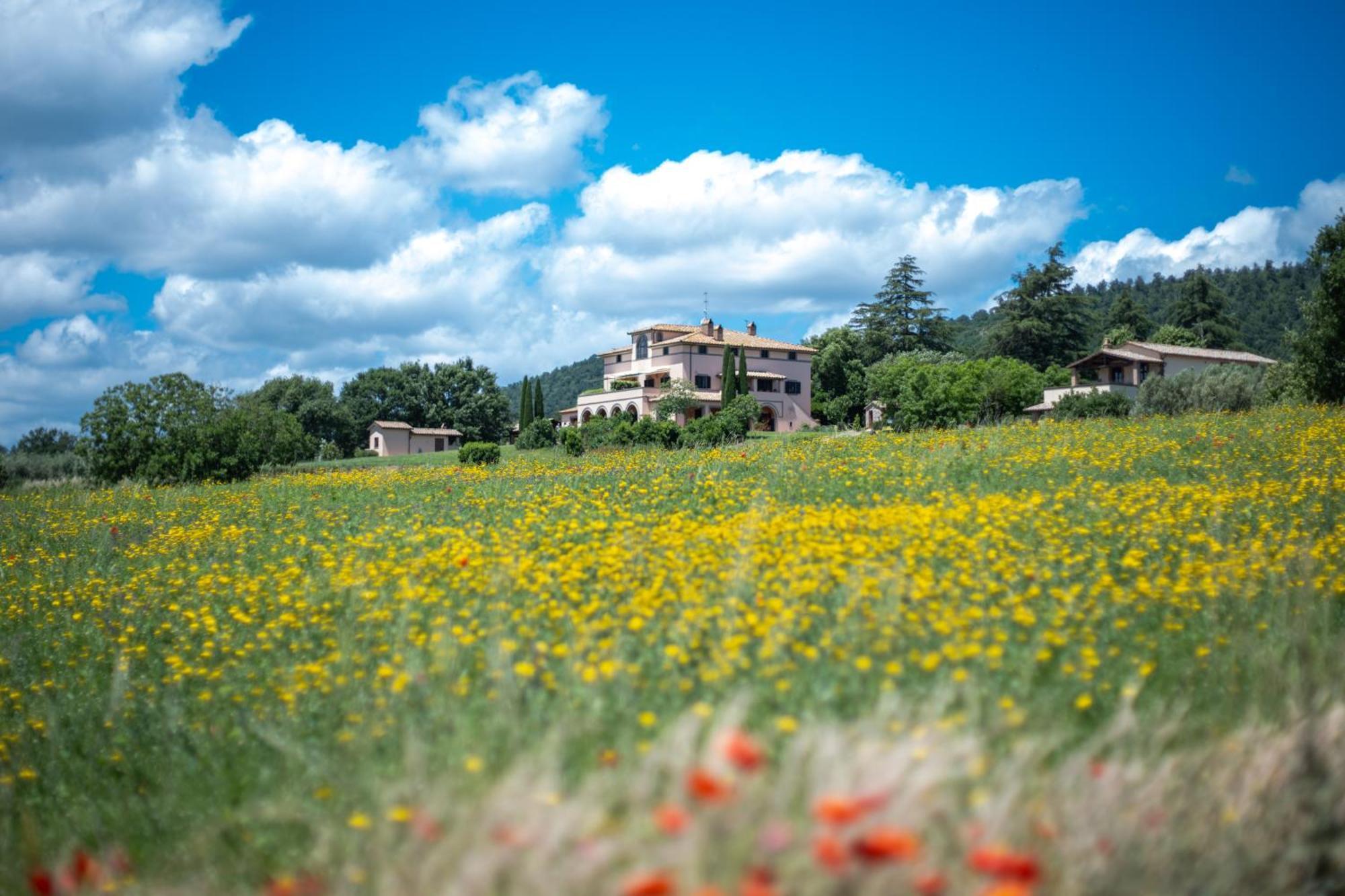 Agri Relais Il Poderaccio Di Bolsena Esterno foto