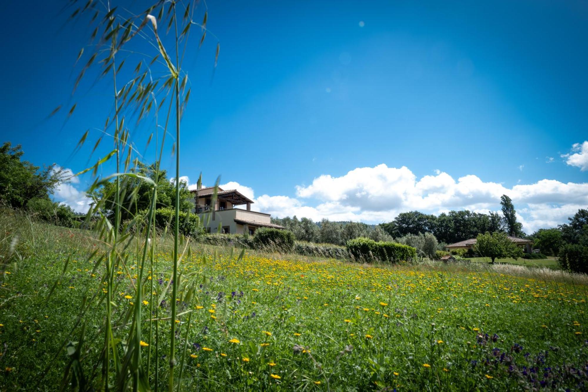 Agri Relais Il Poderaccio Di Bolsena Esterno foto